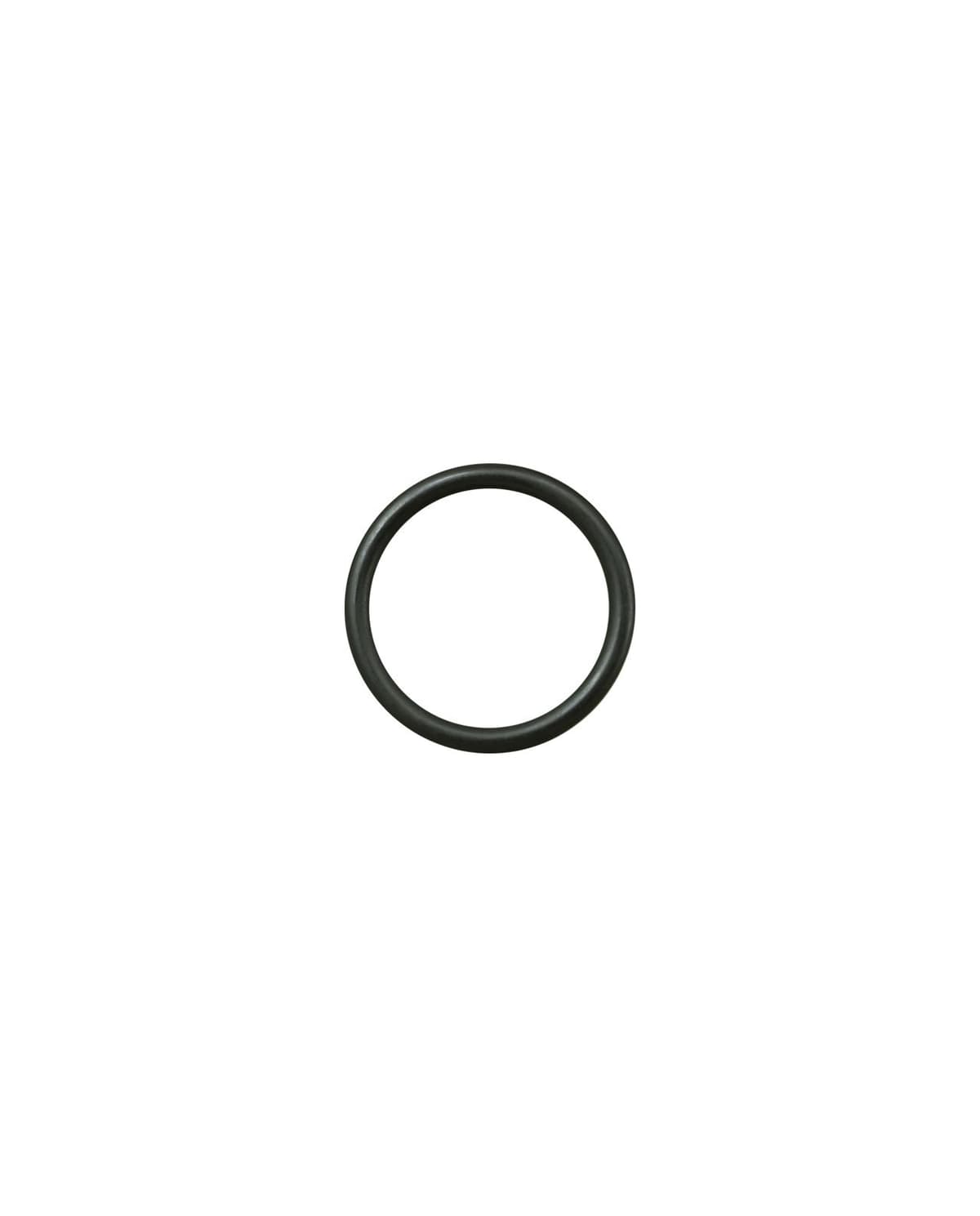 Dosatron 8J040HT Isolation O-Ring for the DM11 Series
