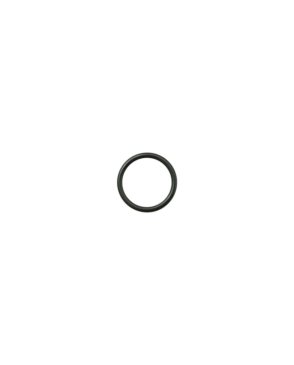 Buy O-Ring for DM11 (JDI133HT) | Dosatron Shop
