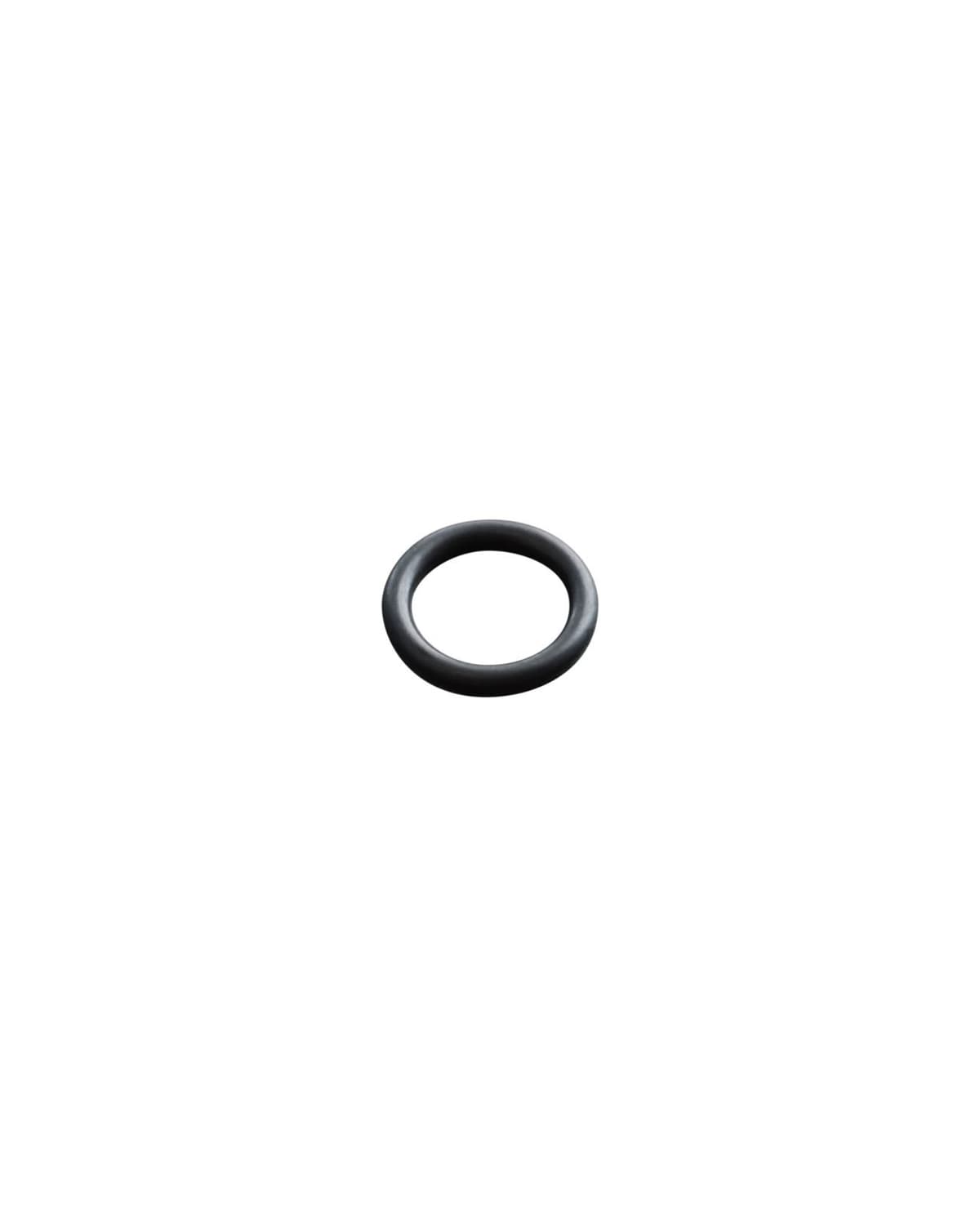 Buy Check Valve O-Ring for DM11 (JDI130HT) | Dosatron Shop
