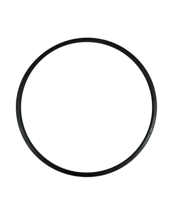 Cap O-Ring (J042)