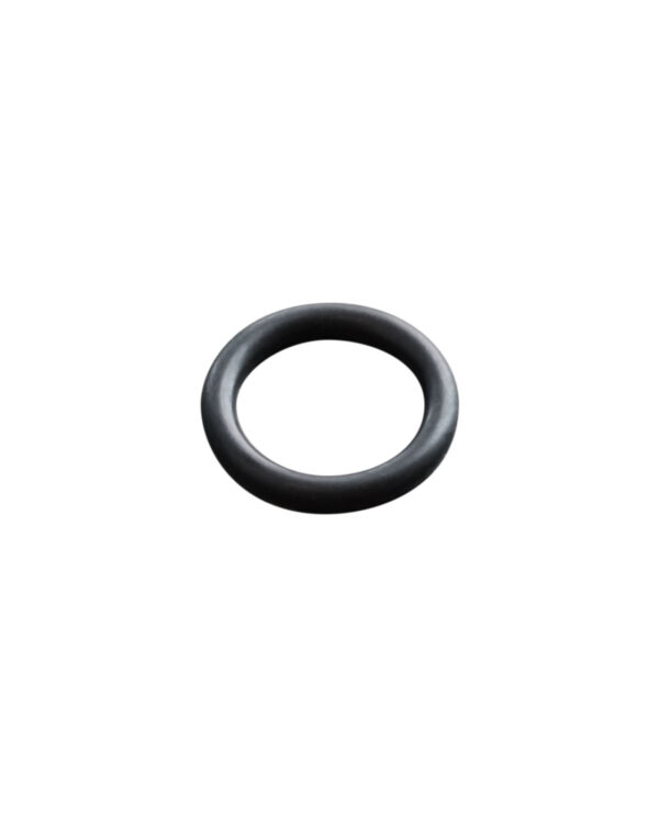 O-Ring (J020)