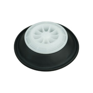 DM11F Diaphragm Assembly (PJDI127)