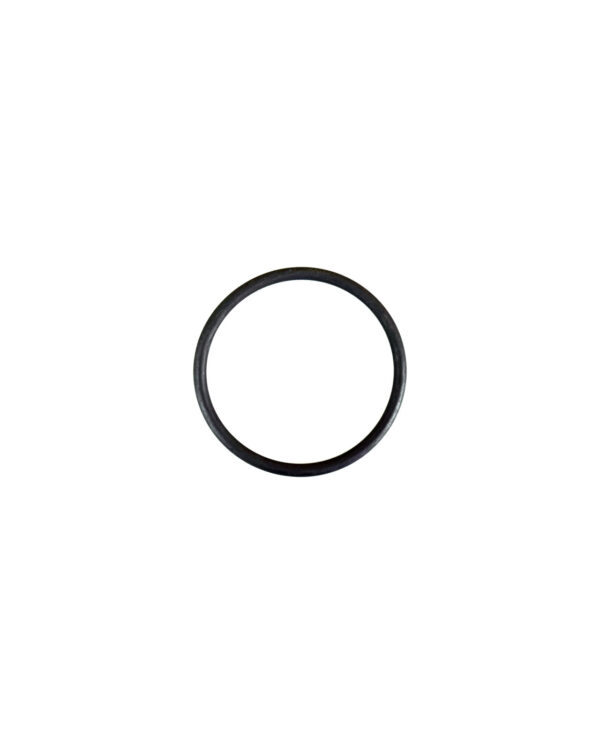 O-Ring (JDI100)